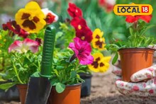 Winter Gardening Tips: শীতের বাগান, টবে টবে ফুটবে রঙিন ফুল, ১০টি নিয়ম মাথায় রাখলেই আপনার হাতে ফলবে জাদু!