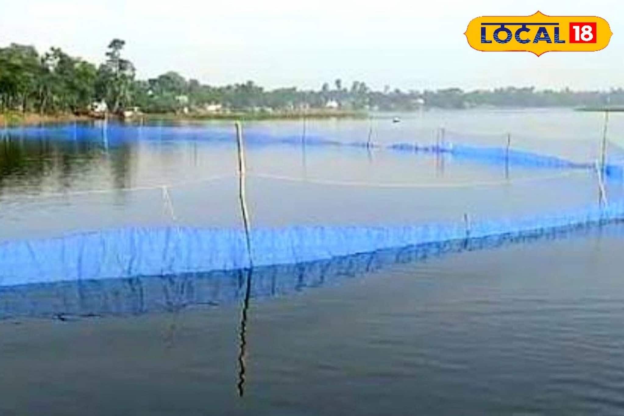 মৎস্যজীবীদের আয় বাড়াতে বিশেষ উদ্যোগ! পেন কালচারে মাছ চাষে লাভবান হবেন জেলেরা মৎস্যজীবীদের আয় বাড়াতে বিশেষ উদ্যোগ! পেন কালচারে মাছ চাষে লাভবান হবেন জেলেরা