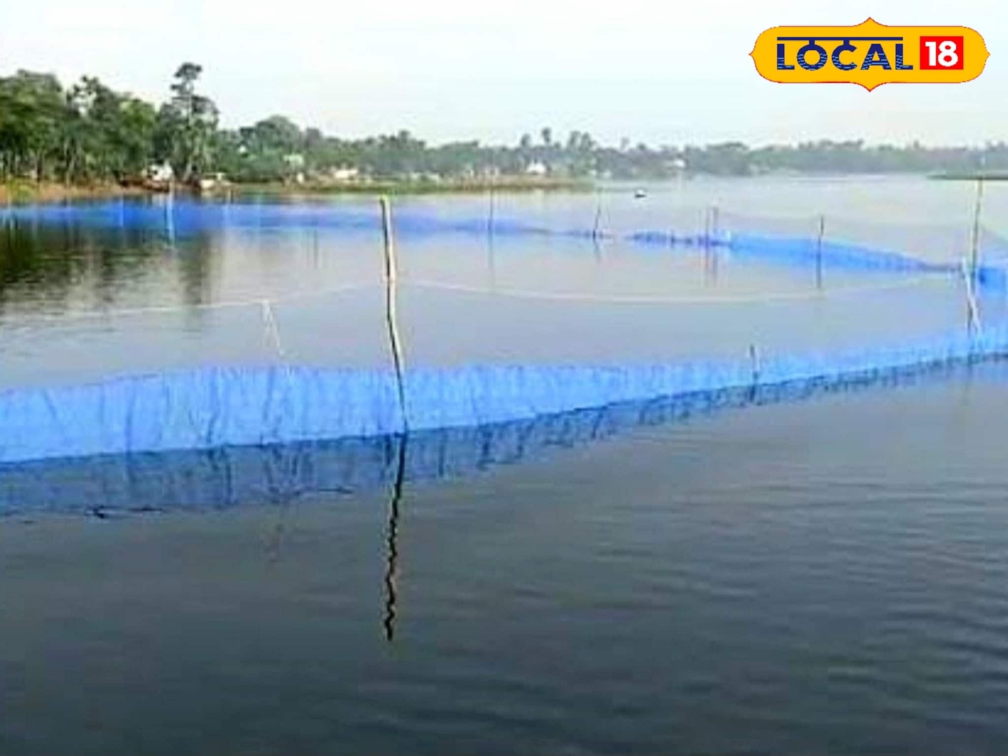 মৎস্যজীবীদের আয় বাড়াতে বিশেষ উদ্যোগ! পেন কালচারে মাছ চাষে লাভবান হবেন জেলেরা মৎস্যজীবীদের আয় বাড়াতে বিশেষ উদ্যোগ! পেন কালচারে মাছ চাষে লাভবান হবেন জেলেরা