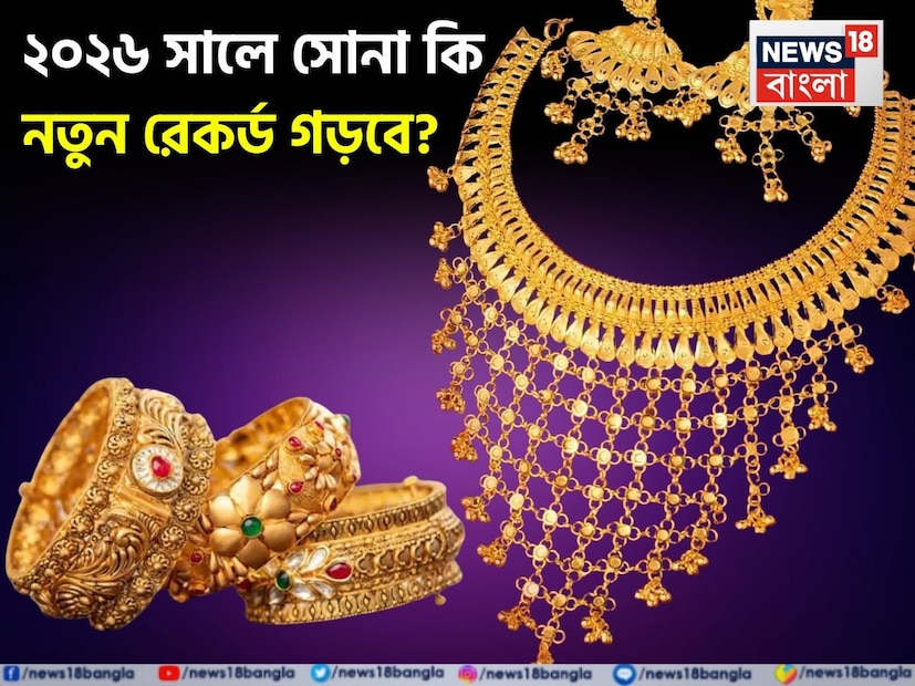 গোল্ডম্যান শ্যাক্সের এক সার্ভে দেখা গিয়েছে আগামী বছরও সোনার দাম বাড়তে থাকবে। সার্ভে অংশগ্রহণকারী প্রায় ৭০% বিশ্বব্যাপী প্রাতিষ্ঠানিক বিনিয়োগকারী বিশ্বাস করেন যে, ২০২৬ সালে সোনার দাম বৃদ্ধি অব্যাহত থাকবে, যা এটিকে নতুন উচ্চতায় নিয়ে যাবে। ১ ডিসেম্বর, ২০২৫ তারিখে সোনার দাম তীব্রভাবে বৃদ্ধি পেয়েছে, যা ছয় সপ্তাহের মধ্যে সর্বোচ্চ স্তরে পৌঁছেছে। মার্কিন যুক্তরাষ্ট্রে সুদের হার কমার প্রত্যাশা সোনার দামে বৃদ্ধিকে সমর্থন করছে।