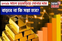 Gold Price To Rise Or Fall In 2026: ২০২৬ সালে হুড়মড়িয়ে সোনার দাম বাড়বে না কি সস্তা হবে ? World Gold Council যা জানাল.... সেগুলো মাথায় না রাখলে মুশকিল
