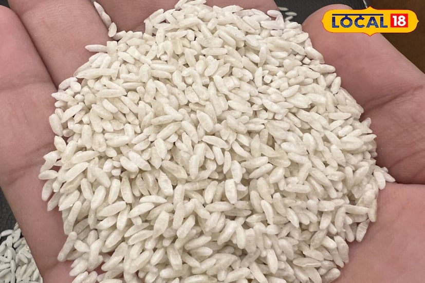 চালের মধ্যে থাকা হালকা দানা বেছে ফেলে দেন? ভেবে বসেন এগুলো বুঝিবা 'প্লাস্টিকের চাল'? আর এখানেই বড় ভুল করে ফেলেন! এগরার পুষ্টিবিশেষজ্ঞ জানালেন, হালকা দানা মেশানো এই চাল সাধারণ চালের থেকে অনেক বেশি পুষ্টিকর। অপুষ্টি দূর করার জন্যই তৈরি করা হয় এই বিশেষ চাল। এর নাম ফর্টিফায়েড চাল। রেশন, আইসিডিএস কেন্দ্র এবং মিড ডে মিল-এ এই চাল ব্যবহার করা হয়।
