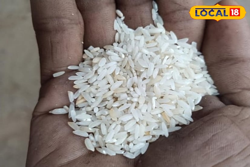 পূর্ব মেদিনীপুর জেলার এগরার পুষ্টি বিশেষজ্ঞ উজ্জয়িনী বন্দ্যোপাধ্যায়ের মতে, এই চাল উচ্চমানের মানদণ্ডে পরীক্ষিত ও অনুমোদিত। এই চাল রক্তাল্পতা প্রতিরোধে বিশেষভাবে সহায়ক। শুধু তাই নয়, গর্ভাবস্থায় মহিলাদের জন্য এই চাল অত্যন্ত জরুরি। এটি ভ্রুনের বিকাশে সাহায্য করে। রক্ত উৎপাদন বাড়ায়, রক্ত কণিকা গঠন করে এবং স্নায়ুর স্বাভাবিক ক্রিয়া বজায় রাখে।