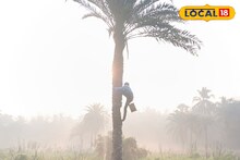 Khejur Gur: সকালে খেজুর রস, বিকেলে গুড়! শীত আসতেই বাড়ছে চাহিদা, কম দামে ভাল মানের গুড়ের ঠিকানা, কলকাতার খুব কাছে