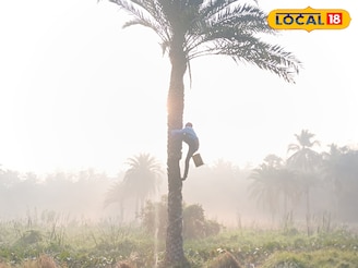 শীত আসতেই বাড়ছে খেজুর গুড়ের চাহিদা, কম দামে ভাল মানের গুড়ের ঠিকানা, কলকাতার খুব কাছে