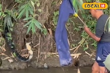 Snake: ঘরের সামনে কুচকুচে কালো ছায়া! ১২ ফিট লম্বা সাক্ষাৎ মৃত্যুদূত! এমন ছবি চোখের সামনে দেখলে যে কেউ ভিড়মি খাবে