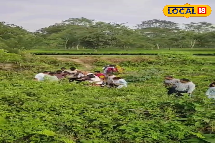 লেপার্ড ক্যাট একাকী থাকে, প্রজনন ঋতু ছাড়া। কিছু লেপার্ড ক্যাট দিনের বেলায় সক্রিয় থাকে, তবে বেশিরভাগই রাতে শিকার করে। এরা চটপটে পর্বতারোহী এবং বৃক্ষরোপণকারী। তারা গাছে বিশ্রাম নেয়, তবে মাটিতে ঘন কাঁটাযুক্ত গাছের নীচেও লুকিয়ে থাকে। (ছবি ও তথ্য: অনন্যা দে)