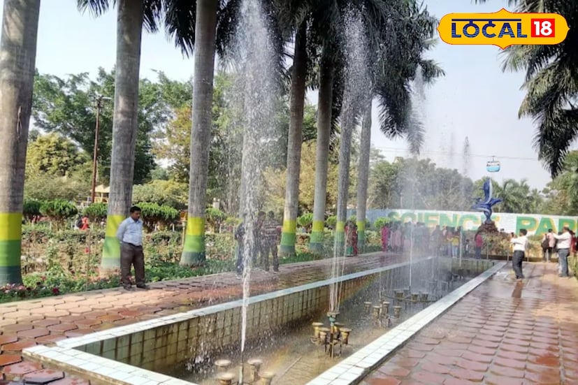 *শিয়ালদহ থেকে ট্রেনে চড়ে নামতে হবে অশোকনগর কিংবা হাবরা স্টেশনে। দুটি স্টেশন থেকে বেরিয়ে অটো এবং টোটোতে চড়লে সোজা পৌঁছে যাবেন পার্কে। অটোতে ভাড়া ১৫-২০ টাকা। টোটোতে আর একটু বেশি ভাড়া। সময় লাগে ২০-২৫ মিনিট।