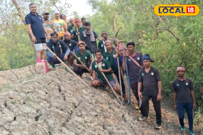 রামগঙ্গার রেঞ্জার অফিসার শেখ কবীর হোসেনের নেতৃত্বে ৮০ জনের কুইক রেসপন্স টিম ঘটনাস্থলে পৌঁছায়। বাঘ কোথায় লুকিয়ে রয়েছে তা জানতে তল্লাশি চলছে। খাঁটানো হয়েছে জাল। পাতা হয়েছে খাঁচা।
