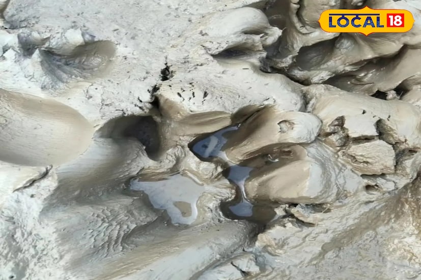 পাথরপ্রতিমা, দক্ষিণ ২৪ পরগনা, নবাব মল্লিক: পাথরপ্রতিমায় এক দ্বীপ থেকে অন্য দ্বীপে ঘুরে বেড়াচ্ছে বাঘ। আর যার ফলে সতর্ক অবস্থান নিল বনদফতর। ইতিমধ্যেই জঙ্গল লাগোয়া অঞ্চলে কোনও গ্রামবাসীকে যেতে দিচ্ছে না বনদফতরর। বনকর্মীরা রয়েছেন ঘটনাস্থলে। ছবি ও তথ্য: নবাব মল্লিক 