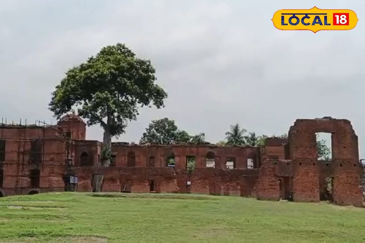 তমলুক রাজবাড়ি কেন ভগ্নপ্রায়? অবাক করবে নেপথ্যের কাহিনী, অজানা ইতিহাস জানলে গর্ববোধ হবেই