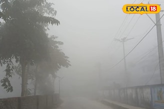 কাছে-দূরে সবই ঝাপসা! সকাল থেকেই ঘন কুয়াশায় ঢাকল আলিপুরদুয়ার, দেখুন শীতের ছবি