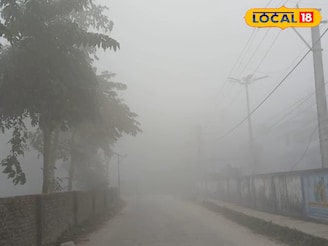 কাছে-দূরে সবই ঝাপসা! সকাল থেকেই ঘন কুয়াশায় ঢাকল আলিপুরদুয়ার, দেখুন শীতের ছবি