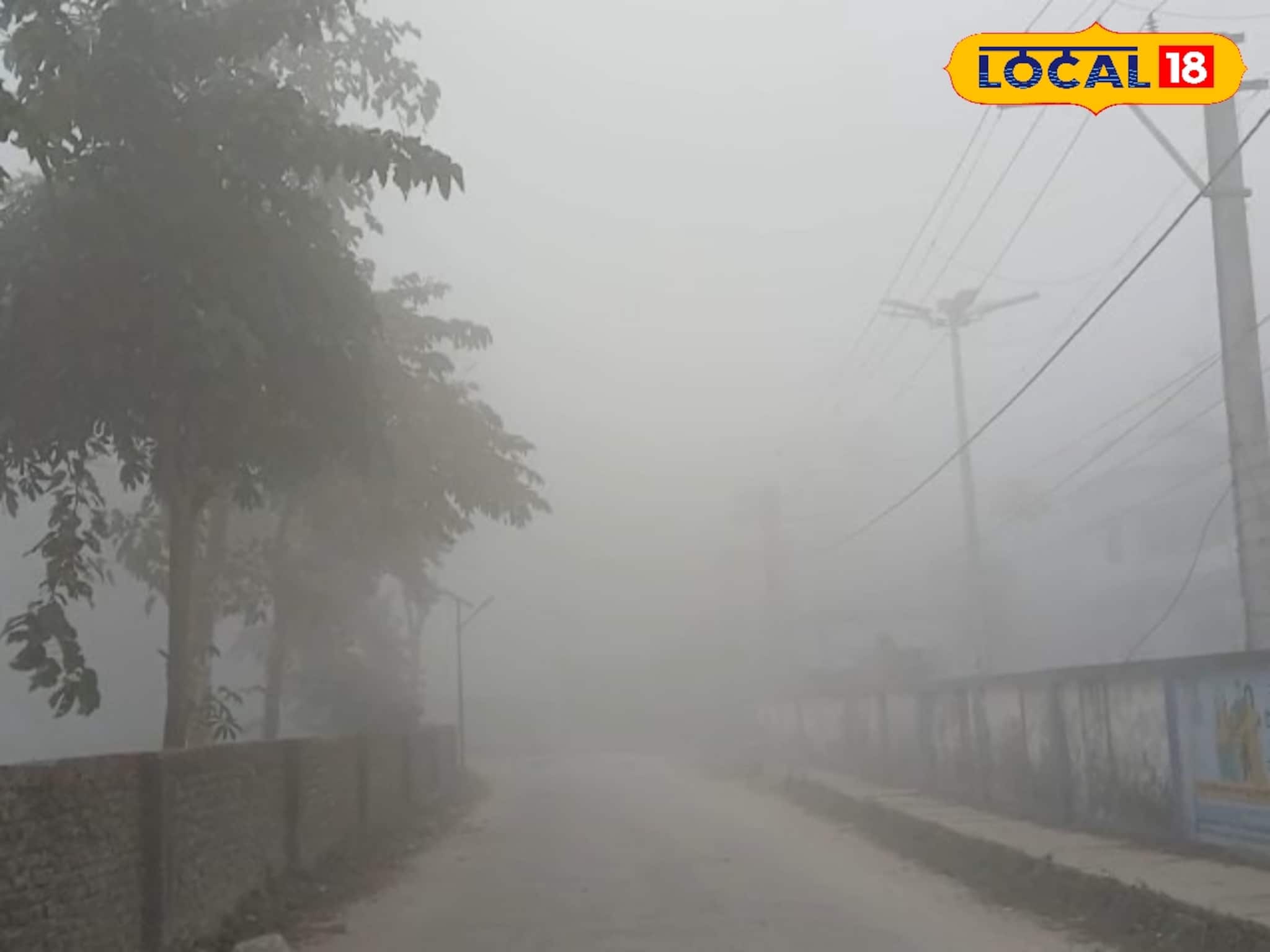 WB Weather Update: কাছে-দূরে সবই ঝাপসা! সকাল থেকেই ঘন কুয়াশায় ঢাকল আলিপুরদুয়ার, দেখুন শীতের ছবি