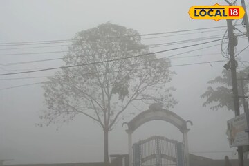 কাছে-দূরে সবই ঝাপসা! সকাল থেকেই ঘন কুয়াশায় ঢাকল আলিপুরদুয়ার, দেখুন শীতের ছবি