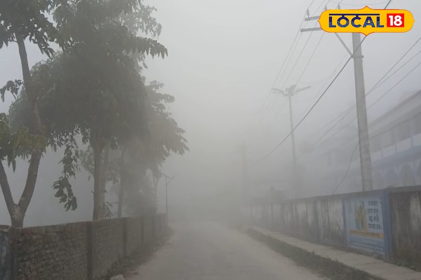 *কুয়াশার জেরে সড়কে দৃশ্যমানতা কম রয়েছে। যার ফলে গাড়িগুলি ধীর গতিতে ও আলো জ্বেলে চলছে। শীতের শুরুতে এমন কুয়াশা দেখে অনুমান করা যাচ্ছে প্রচন্ড শীত এবারে পড়তে চলেছে জেলায়।