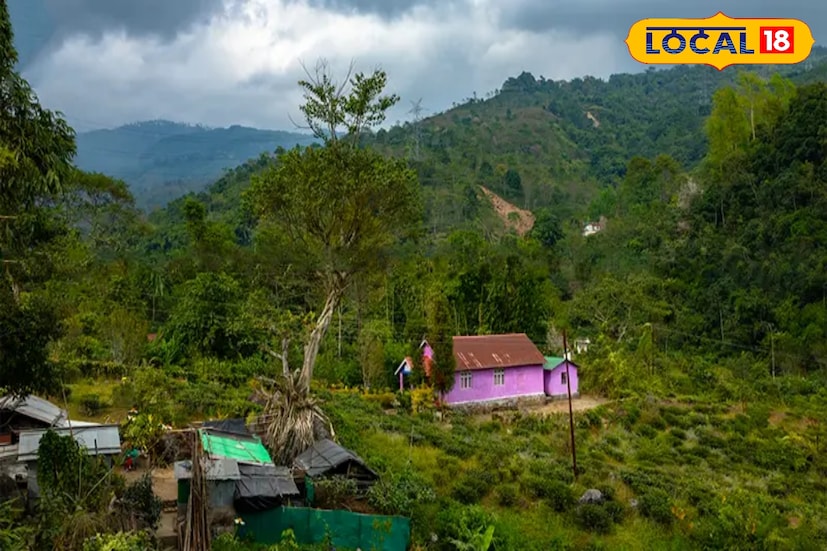 *দার্জিলিংয়ের অন্যতম লুকানো রত্ন। চারদিক পাহাড়ে ঘেরা উপত্যকা, নরম হাওয়া, আর বুনো ফুলে ভরা পথ—রাংলা ভ্যালির সৌন্দর্য নবদম্পতিদের জন্য যেন আলাদা করে রাখা। কম ভিড়, বেশি প্রকৃতি—এই জায়গার বড় বৈশিষ্ট্য।