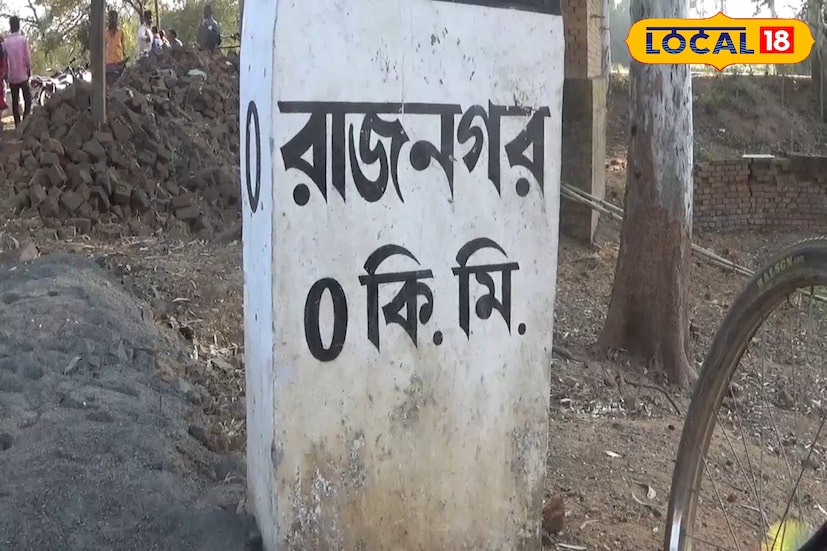 বন দফতর সূত্রে জানা যায়, ল্যাটেরাইট ও চুনাপাথরযুক্ত জঙ্গলের ফাঁকা অংশে সূর্যশিশির জন্মানোর সম্ভাবনা বেশি। রাজনগর রেঞ্জার সৈকত ডিন বলেন, অতীতেও রাজনগরের জঙ্গলে এই প্রজাতির উপস্থিতি ধরা পড়েছিল। সংরক্ষণে উদ্যোগ নেওয়া হবে বলেও বন দফতর ইঙ্গিত দিয়েছে।(ছবি ও তথ্য: সুদীপ্ত গড়াই)