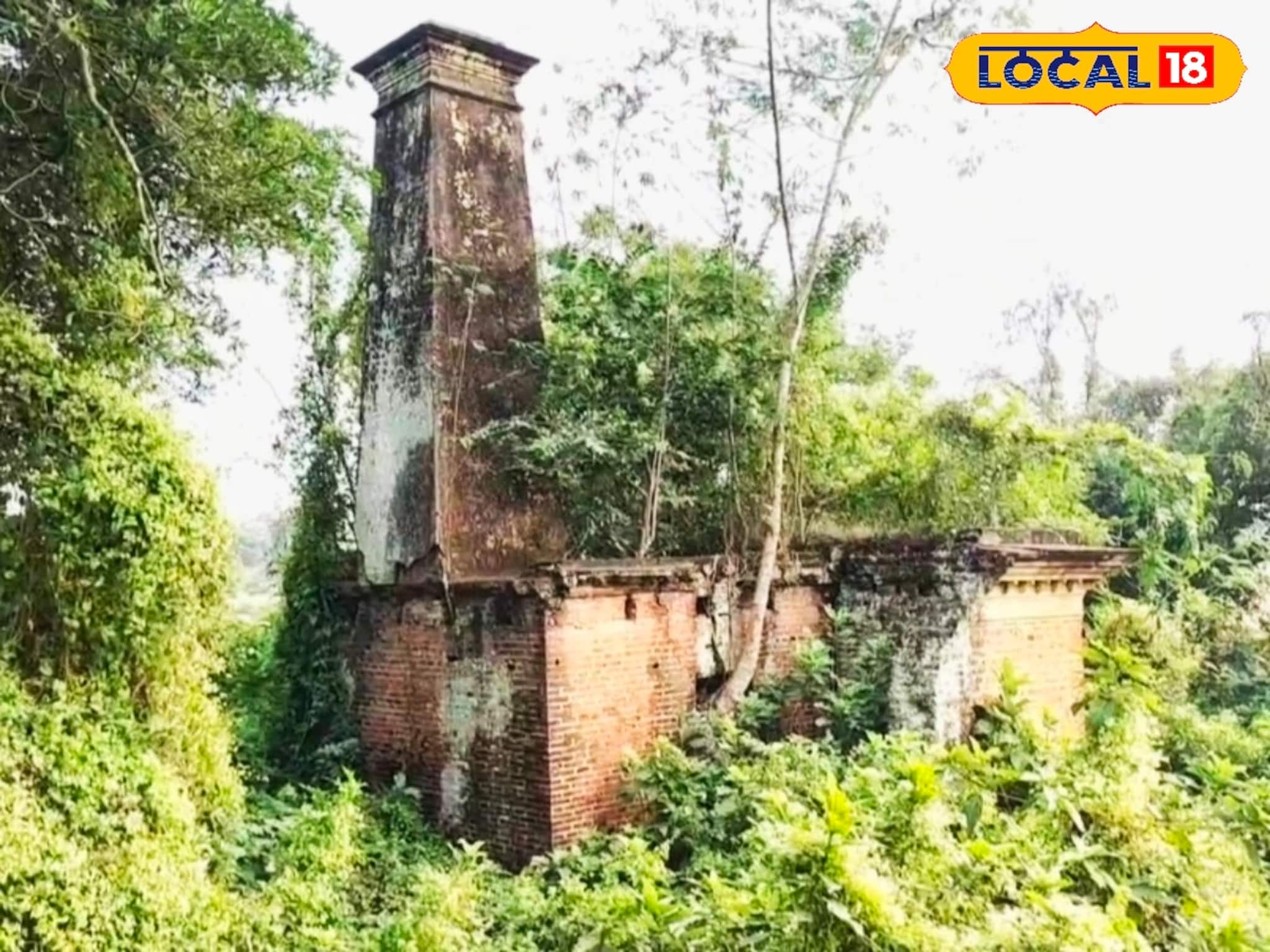 Indigo Revolt: অত্যাচারীর চাবুক আজ স্তব্ধ, ইতিহাসের আঁধারে ফিরিয়ে নিয়ে যায় জঙ্গলের ভিতরে দাঁড়িয়ে থাকা নীলকুঠির গা ছমছমে ধ্বংসাবশেষ