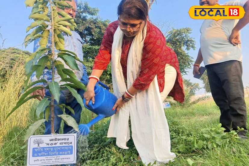 গাছ লাগানোর কর্মসূচি বায়ুদূষণ কমায়, ক্ষতিকারক গ্যাস শোষণ করে এবং অক্সিজেন সরবরাহ বাড়ায়। এটি বন উজাড়, মাটির ক্ষয়, মরুকরণ এবং জলবায়ু পরিবর্তনের বিরুদ্ধে লড়াই করতে সাহায্য করে।