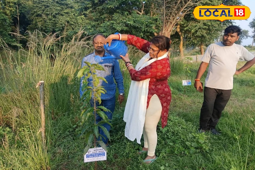 তাই বৈঁচিগ্রামে একটি জায়গায় গাছগুলি সবে বসানো হচ্ছে। লক্ষ্য একটাই, এই গাছই একদিন বৃক্ষ হবে, ফুল, ফল দেবে। প্রকৃতির ভারসাম্য রক্ষা করবে, অক্সিজেন বিলিয়ে টেনে নেবে বিষ-দূষণ। বৈঁচিগ্রামেরই একটি স্বেচ্ছাসেবী সংস্থা এই বাগান তৈরি করছে। এগিয়ে এসেছেন বিভিন্ন দেশে থাকা প্রবাসী।