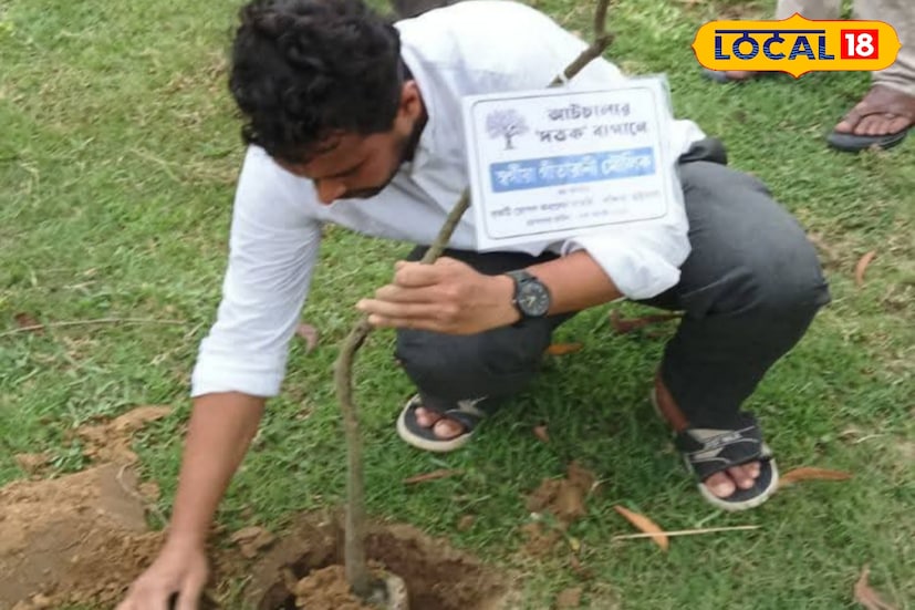 এই দত্তক বাগানে আপনি গেলেই দেখতে পাবেন আম, কাঁঠাল, জামরুল, আমলকি-সহ মোট ৪৪ প্রজাতির গাছ রয়েছে। বেশির ভাগই আমগাছ। উদ্যোক্তারা জানান, এই হুগলি জেলাতে দত্তক বাগান একটি অভিনব বাগান।