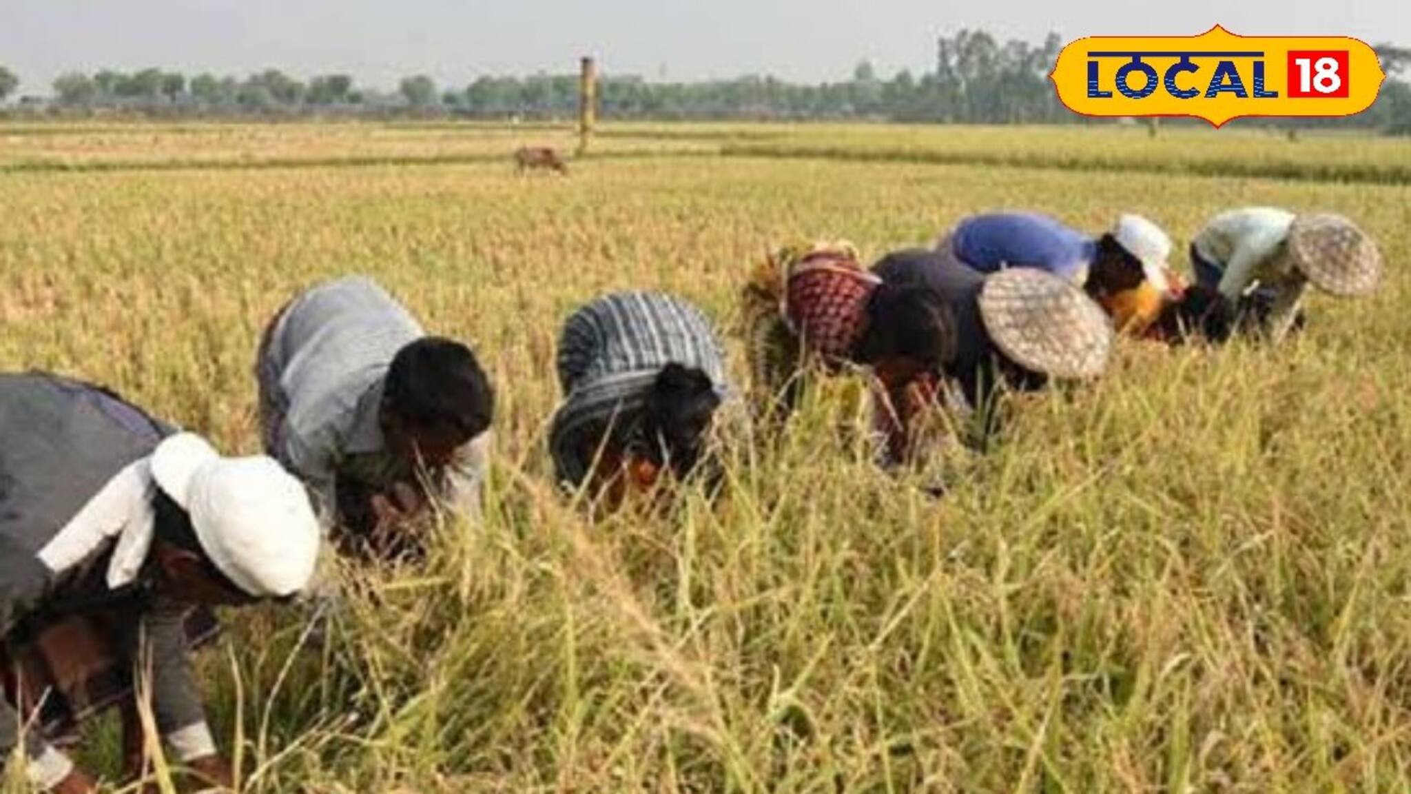 Krishi Bima Scheme: জমিহীন কৃষকদের এবার মিলবে কৃষি বীমা! রাজ্য সরকারের বড় ঘোষণায় সুবিধা পাবেন কারা? কী কী নথি প্রয়োজন? জানুন আবেদন প্রক্রিয়া