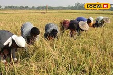 Krishi Bima Scheme: জমিহীন কৃষকদের এবার মিলবে কৃষি বীমা! রাজ্য সরকারের বড় ঘোষণায় সুবিধা পাবেন কারা? কী কী নথি প্রয়োজন? জানুন আবেদন প্রক্রিয়া