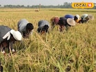 জমিহীন কৃষকদের এবার মিলবে কৃষি বীমা! রাজ্য সরকারের বড় ঘোষণায় সুবিধা পাবেন কারা? জানুন