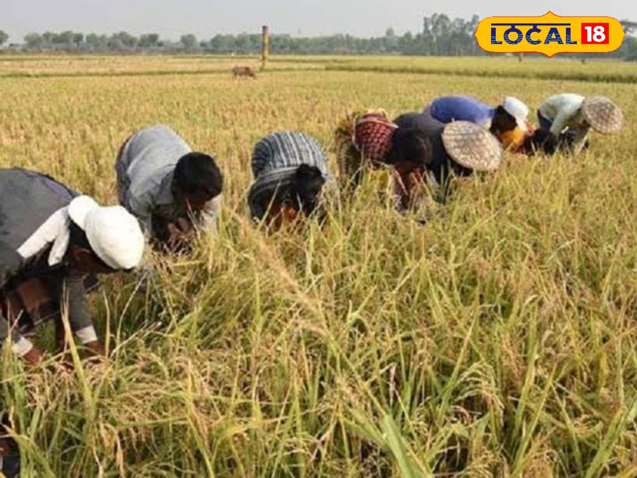 Krishi Bima Scheme: জমিহীন কৃষকদের এবার মিলবে কৃষি বীমা! রাজ্য সরকারের বড় ঘোষণায় সুবিধা পাবেন কারা? কী কী নথি প্রয়োজন? জানুন আবেদন প্রক্রিয়া
