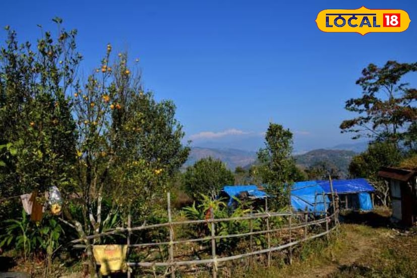 *যারা সত্যিই ভিড় এড়িয়ে নিজের মতো শান্ত একটা ছুটি কাটাতে চান, তাদের জন্য সামথার নিখুঁত গন্তব্য। পাহাড়ের নরম রোদ, বনভেজা হাওয়া আর মানুষজনের সহজ-সরল হাসি আপনাকে বাড়ির মতোই আপন করে নেবে!