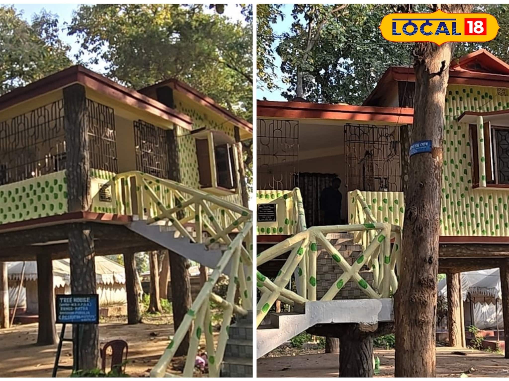 Purulia Tourism: ছোট্ট ছুটিতে পুরুলিয়া ভ্রমণ এখন আরও আকর্ষণীয়! নামমাত্র খরচে থাকুন গাছবাড়িতে! জানুন বিশদে