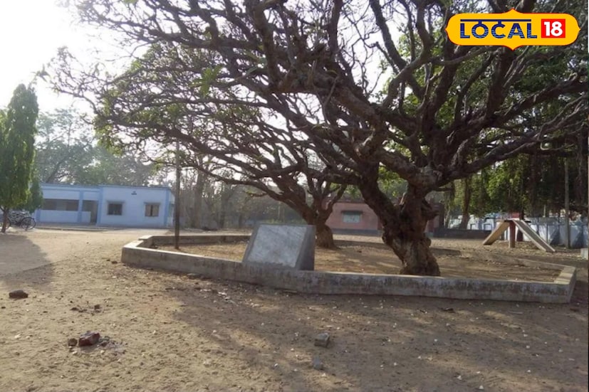 আবেদনপত্র জমা নেওয়ার পর প্রাক-প্রাথমিক তৃতীয় শ্রেণি এবং পঞ্চম শ্রেণির জন্য লটারি করা হবে আগামী ১০ ডিসেম্বর সকাল সাড়ে এগারোটার সময়। এছাড়াও ১৬ ডিসেম্বর প্রাক প্রাথমিক, ১৭ ডিসেম্বর তৃতীয় এবং ১৮ ডিসেম্বর পঞ্চম শ্রেণীর জন্য ভর্তি নেওয়া চলবে। ওই দিনই বিকেল সাড়ে চারটের সময় তালিকা প্রকাশিত হবে বলেই উল্লেখ করা হয়েছে বিজ্ঞপ্তিতে। ছবি ও তথ্য নীলাঞ্জন বন্দ্যোপাধ্যায়