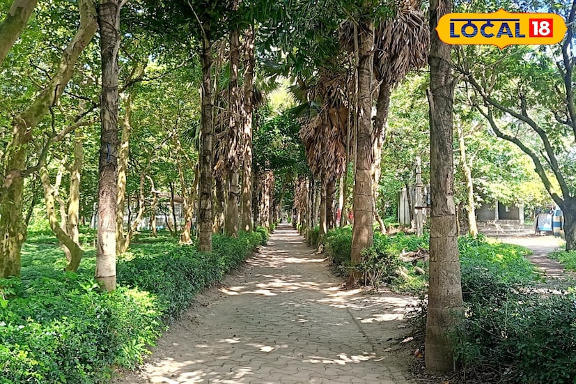 পর্যটকদের কথা মাথায় রেখে কটেজ থেকে শিশুদের জন্য বিনোদন পার্কও গড়ে তোলা হয়েছে বলে জানা গিয়েছে। পরিযায়ী পাখিরা যাতে এখানে আসতে পারে, তার জন্য গড়ে তোলা হয় পাখিরালয়ও। জঙ্গিপুর শহর থেকে সড়ক পথের পাশাপাশি লঞ্চে করে নদীপথেও পর্যটকরা এখানে আসতে পারবেন। ছবি ও তথ্যঃ তন্ময় মন্ডল। 