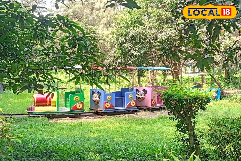 জঙ্গিপুর পৌরসভার অধীনে এই সুভাষ দ্বীপ এখন পর্যটকদের কাছে নতুন আকর্ষণ গড়ে তুলেছে। রঘুনাথগঞ্জের জঙ্গিপুর সদর ঘাট। ভাগীরথীর তীরে প্রায় ৬৫ বিঘা জমির উপরে জঙ্গিপুর পুরসভা উদ্যোগে তৈরি এই নেতাজি সুভাষ দ্বীপ। ছবি ও তথ্যঃ তন্ময় মন্ডল। 