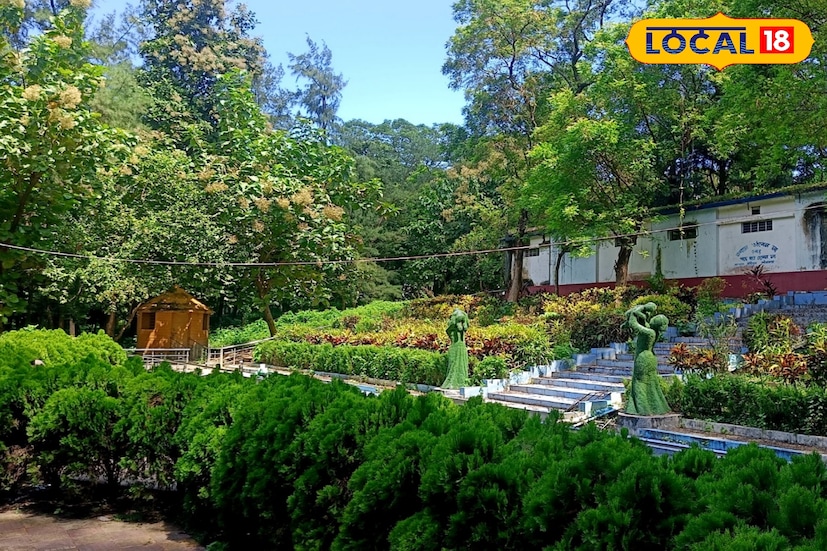 বলা বাহুল্য, মুর্শিদাবাদে মতিঝিলের পর দ্বিতীয় পর্যটনকেন্দ্র হিসাবে সুভাষ দ্বীপকে গড়ে তোলার পরিকল্পনা গ্রহণ করে রাজ্য সরকারের। এর জন্য অর্থ বরাদ্দ হয় প্রায় তিন কোটি টাকা। সুভাষ দ্বীপের নামের সার্থকতা রেখে বসানো হয়েছে দেশের বীর সৈনিক নেতাজি সুভাষচন্দ্র বসুর আবক্ষ মূর্তি। নতুন করে গড়ে তোলা হয়েছে রাস্তাঘাট। গড়ে তোলা হয়েছে পাখিরালয়। সেখানে রয়েছে রং-বেরংয়ের পাখির সমাহার। ছবি ও তথ্যঃ তন্ময় মন্ডল। 