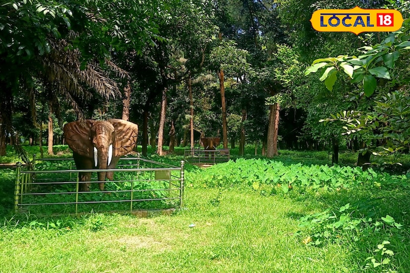 সুভাষ দ্বীপে থাকছে আধুনিক কটেজ। ক্যান্টিনের সুবন্দোবস্ত। আছে গাড়ি পার্কিং-এর জন্য ব্যবস্থা। এছাড়াও শিশুদের বিনোদনের জন্য সুভাষ দ্বীপে থাকছে দোলনা, স্লিপ। বসানো হয়েছে ফোয়ারা। দ্বীপ লাগোয়া জলাশয়ে থাকছে বোটিংয়ের সুবন্দোবস্ত। ফলে শীতের মরশুমে পিকনিক বা একান্তে সময় কাটাতে আসতে পারেন এই পার্কে। কাটবে একান্তে সময়। ছবি ও তথ্যঃ তন্ময় মন্ডল।