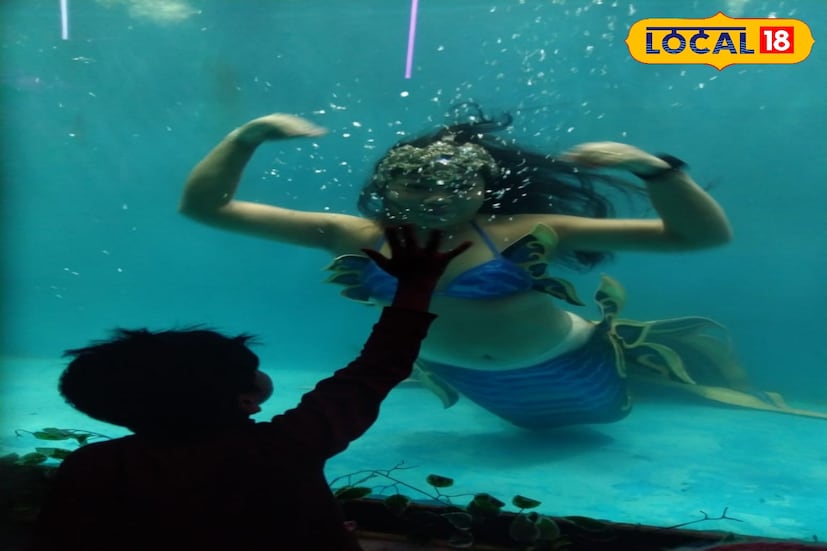 মৎস্যকন্যারা জলে সাঁতার কাটতে কাটতে অ্যাকোয়ারিয়ামের কাচের দেওয়ালের কাছে চলে আসেন যখন, তখন দর্শকদের তীব্র উল্লাস। দু'পক্ষের শুভেচ্ছা বিনিময়ও হয়। সেলফি ওঠে। মৎস্যকন্যাদের শো দেখার টিকিটের মূল্য খুব একটা বেশি নয়। এখন তাঁদের শো সোশ্যাল মিডিয়াতেও ভাইরাল। বারুইপুরে এখন তিনজনের দৌলতে লাল-নীল-সবুজের মেলা বসেছে। ফলে ধূসর শীতকাল আচমকা রঙিন