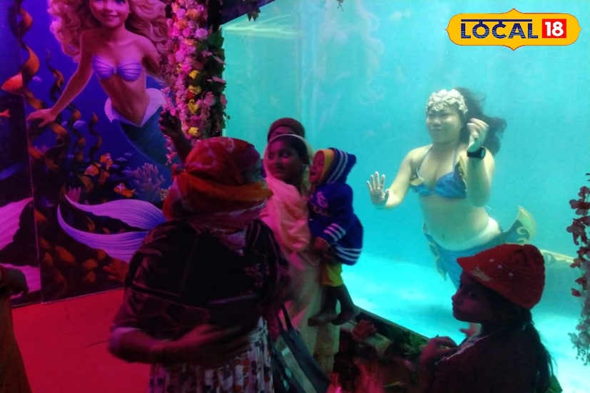 বাড়ি ইন্দোনেশিয়ার যোগকারতায়, তাঁর নাম লুসি মারগারেটা। আর কেরল থেকে এসেছেন দু'জন। তাঁদের একজনের নাম গীতা পুত্রী। অন্যজন হলেন নীহারিকা। তিনজনেই তরুণী। সুন্দরী। ফলে তাঁদের সঙ্গে সেলফি তোলার ভিড় রোজই। হাদ আন্ডারসনের লিটল মারমেডের জীবনের পুরোটা খুব একটা সুখে কাটেনি। 