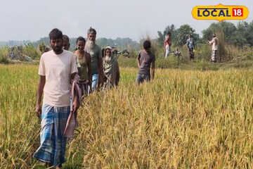 গোটা গ্রাম থমথমে, আতঙ্কে বাড়ি থেকে বের হচ্ছেন না কেউ! চন্দ্রবোড়ার ভয়ে সবাই কাঁপছে