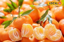 Darjeeling Orange GI Tag: বহু লড়াইয়ের পর দার্জিলিং ম্যান্ডারিন কমলা পেল জিআই ট্যাগ! বাংলার মুকুটে নতুন পালক