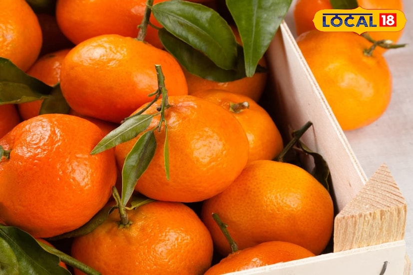 দীর্ঘ পথ পেরিয়ে পাওয়া এই স্বীকৃতির পেছনে আছে অগণিত মানুষের চেষ্টা। 2022 সালের অগস্টে জিআই ট্যাগের আবেদন শুরু হয়। উত্তরবঙ্গ কৃষি বিশ্ববিদ্যালয়ের অধ্যাপক তুলসি শরণ ঘিমিরে নিজে মাঠে নেমে প্রতিটি প্রয়োজনীয় নথি, বৈজ্ঞানিক তথ্য, এবং ক্ষেত্র সমীক্ষা সংগ্রহ করেন। তাঁকে সহযোগিতা করে রাজ্যের বিজ্ঞান–প্রযুক্তি দপ্তর এবং পেটেন্ট ইনফরমেশন সেন্টার। পরের বছর আবেদনটি হস্তান্তর করা হয় দার্জিলিং অরেঞ্জ গ্রোয়ার্স প্রডিউসার অর্গানাইজেশন (DOFPO)-এর কাছে, যারা শেষ পর্যন্ত সম্পূর্ণ প্রক্রিয়া শেষ করে। ছবি ও তথ্য : ঋত্বিক ভট্টাচার্য