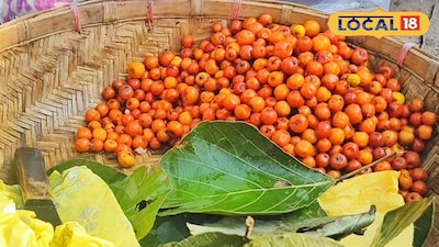 বনকুলের পসরা