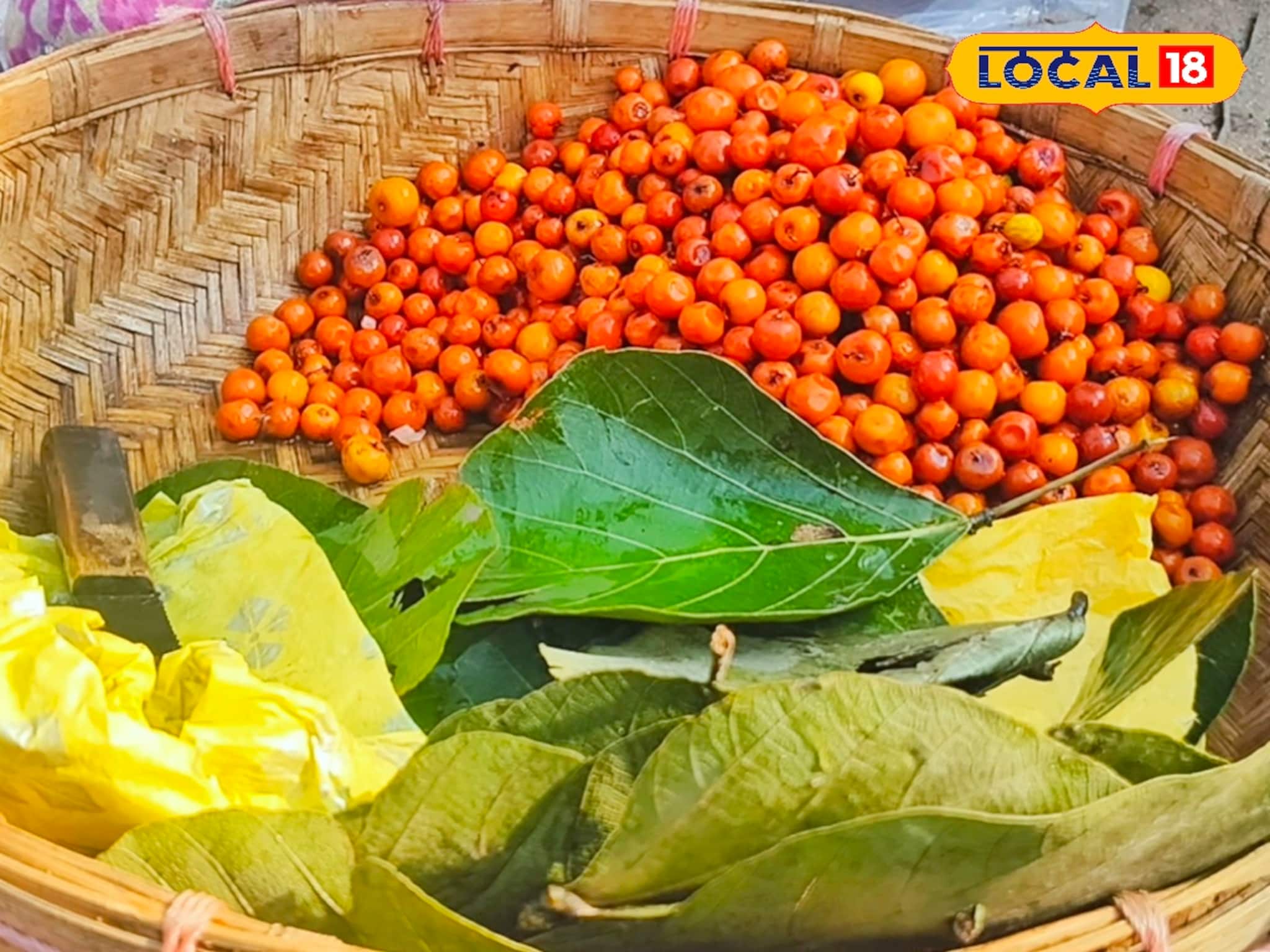 আপেল কুল বা চেরি কুল নয়, এই শীতে চেখে দেখুন এই বুনো কুল? বাজারে হুড়োহুড়ি চাহিদা