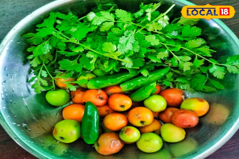 শীতের আমেজে মিষ্টি রোদ গায়ে মেখে সঙ্গে যদি থাকে একমুঠো টকমিষ্টি স্বাদের বনকুল! এই অতুলনীয় স্বাদের কোনও বিকল্প হয়না। তবে বুনো কুল হয়ত রাজ্যের সব জায়গায় না মিললেও এখনও দুর্গাপুর শিল্পাঞ্চলে অনেকেই এই বন কুলের স্বাদ পেয়ে থাকেন। দুর্গাপুর শিল্পাঞ্চলের দামোদর ও অজয় নদের তীরবর্তী এলাকা-সহ মালভূমি এলাকা গুলিতে এই বনকুল গাছের দেখা মেলে। 