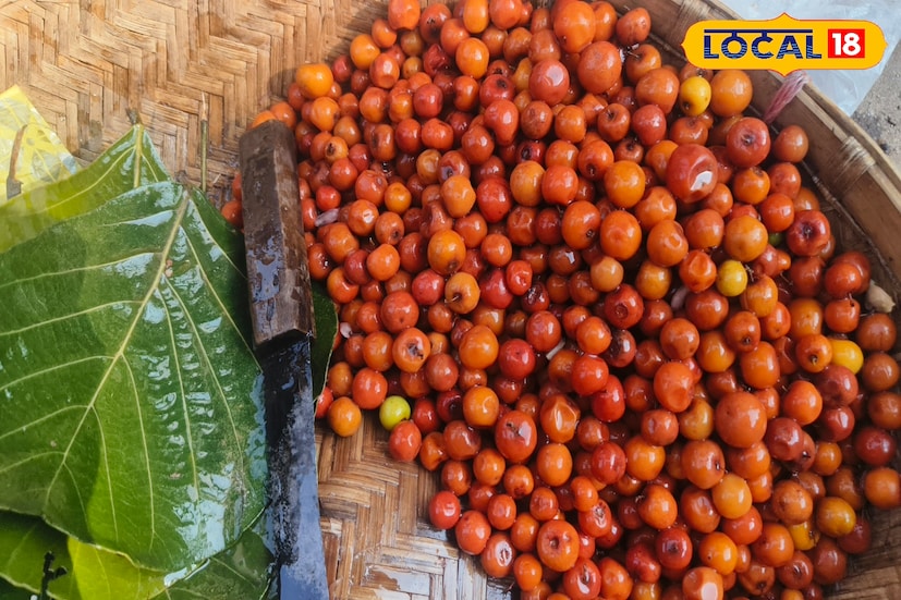 উখড়ার বাসীন্দা কুল প্রেমী সোমা দাস জানান, স্বাদে ও গন্ধে এই বন কুল অতুলনীয়। তবে গাছ থেকে এই কুল তোলা অত্যন্ত ঝুঁকিপূর্ণ। হাতে কাটা ফুটে যায়। শীতের সময় পলাশ পাতা অথবা বট পাতার ঠোঙ্গায় করে নুন লঙ্কা সহকারে এই বনকুল বিক্রি হয়। দারুণ লাগে। কুল বিক্রেতা ঝর্না বাদ্যকর বলেন ভোর বেলায় নদীর পাড় থেকে বনফুল তুলে নিয়ে এসে বিক্রি করি। এই কাজ করতে কষ্ট হলেও বাজারে এই কুলের ভালো চাহিদা আছে। স্কুলের সামনে অথবা মাঠে ঘাটে পিকনিক করতে আসা মানুষজনও বন কুল কিনে খায়।