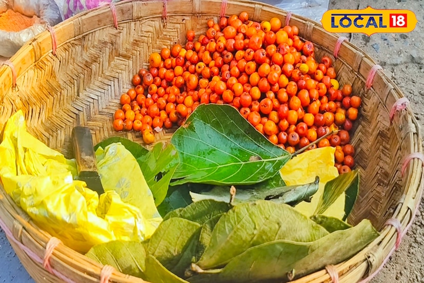  কয়েক বছর আগেই কুলের চাহিদা মেটাতে বৈজ্ঞানিক পদ্ধতিতে হাইব্রিড কুল চাষ শুরু হয়। লাভজনক চাষ হওয়ায় বাজারে নানান প্রজাতির হাইব্রিড কুল চলে এসেছে। ওই কুলের নাম আবার অন্য ফলের সাথে যুক্ত করা হয়েছে। যেমন, জনপ্রিয় হাইব্রিড জাতের কুল হল ভারত সুন্দরী কুল, আপেল কুল, এলাচ কুল, চেরি কুল ইত্যাদি। 