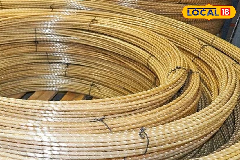 সংস্থার দাবি, এই রড ব্যবহার করলে ভবনের স্থায়িত্ব বাড়ে, বারবার মেরামতের প্রয়োজন পড়ে না এবং রক্ষণাবেক্ষণের খরচ কমে। সেতু, রাস্তা, মেট্রো–সহ ভারী প্রকৌশল প্রকল্পেও রডটি দীর্ঘদিন তার কার্যক্ষমতা বজায় রাখে। রডটির আনুমানিক মূল্য ১৩২ - ১৫৫ টাকা প্রতি কেজি।