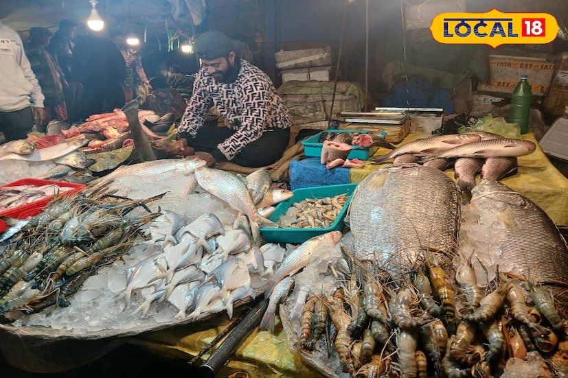 বাঙালি আর মাছ ভালবাসে না তা কি হয়। কিন্তু অনেকেই আছেন যারা মাছ খুব একটা ভালবাসেন না কিন্তু যদি তা হয় ১৩ কেজি ওজনের ভেটকি তাহলে। এছাড়া রয়েছে কারন নানান রকমের সামুদ্রিক মাছ। ভাবছেন তো বর্ধমানের কোথায় মিলছে এই ভেটকি ?