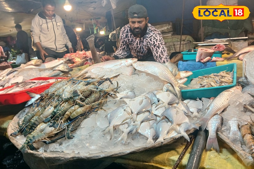 তিনি আরও বলেন, দীঘার থেকে আনা ভেটকি, খাওয়া তো বেশ ভালোই হয় তাই চাহিদা ভালো থাকে।কারন সব সময় তো এত বড় ভেটকি আসে না। এক ক্রেতা বলেন, এত বড় মাছ দেখতেই যেন ভালো লাগে।আগেবার নিয়েছিল স্বাদ ভালোই ছিল।( ছবি ও তথ্য: সায়নী সরকার)